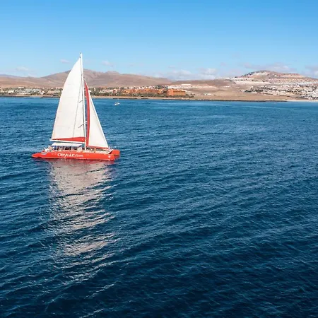 Casa Amaya 208